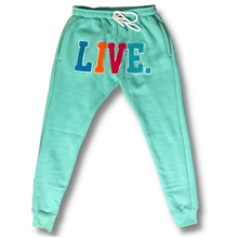 Load image into Gallery viewer, Live Chenille Joggers- Teal